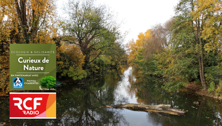 En réécoute : Balade le long du Clain